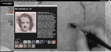 Sitio Web